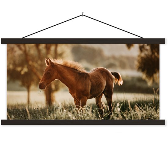 Affiche scolaire - Cheval - Léger - Prairie - 60x30 cm - Lattes noires