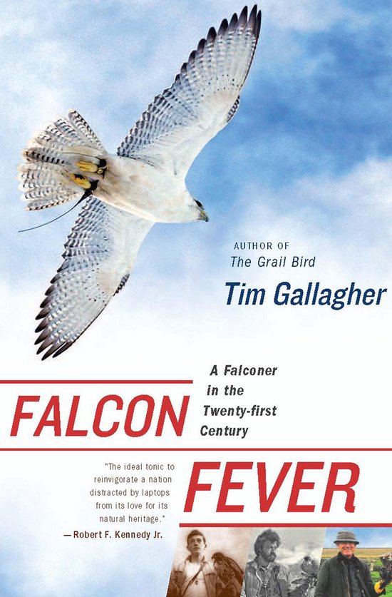 Falcon Fever - cover