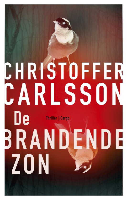 De brandende zon - cover