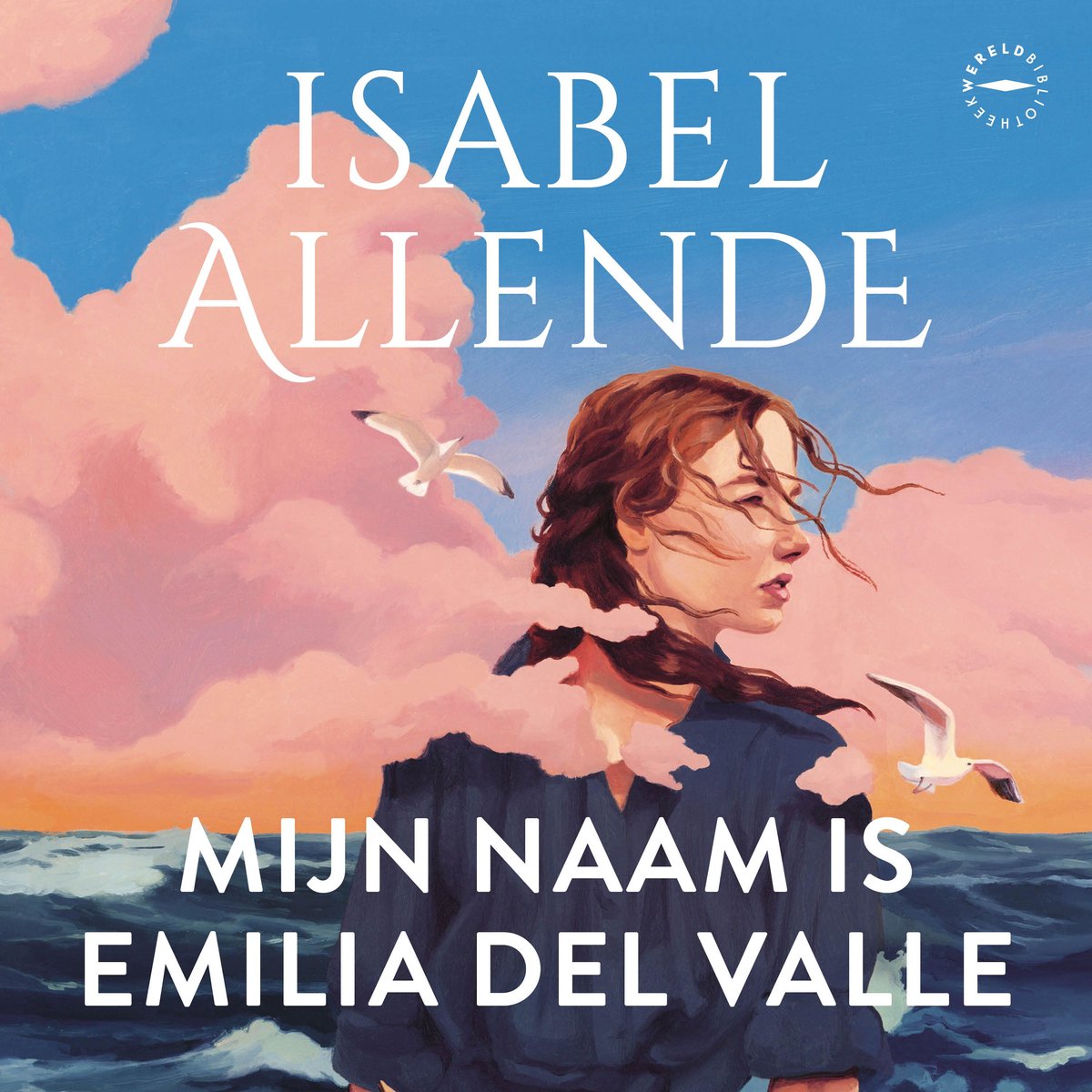 Omslag van Mijn naam is Emilia del Valle