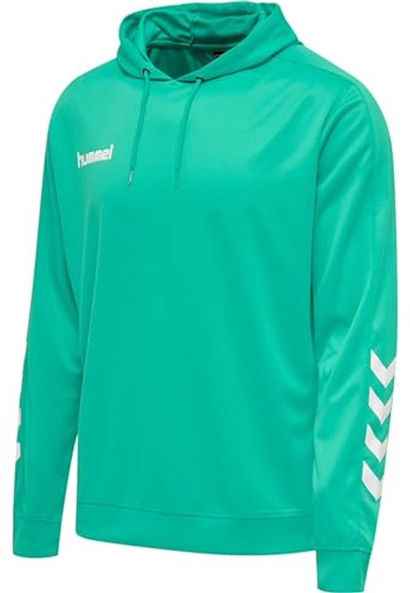 Polyester Hoodie voor Heren met Chevrons