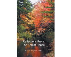 Reflections from the Forest House