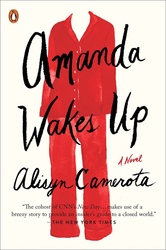 Amanda Wakes Up - cover