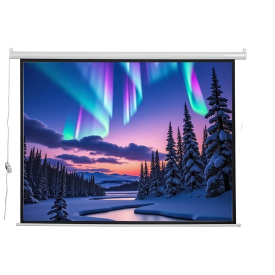 Projectiescherm 400x235cm (16:9) met voor en doorzicht