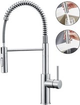 Keukenkraan Met Veerdesign – Hoge Druk, Uittrekbare Douche, 360° Draaibaar, Twee Sproeistanden, Roestvrij Staal, Voor Spoelbak