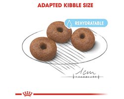 Voeding voor Giant Puppy Starter - 15 kg