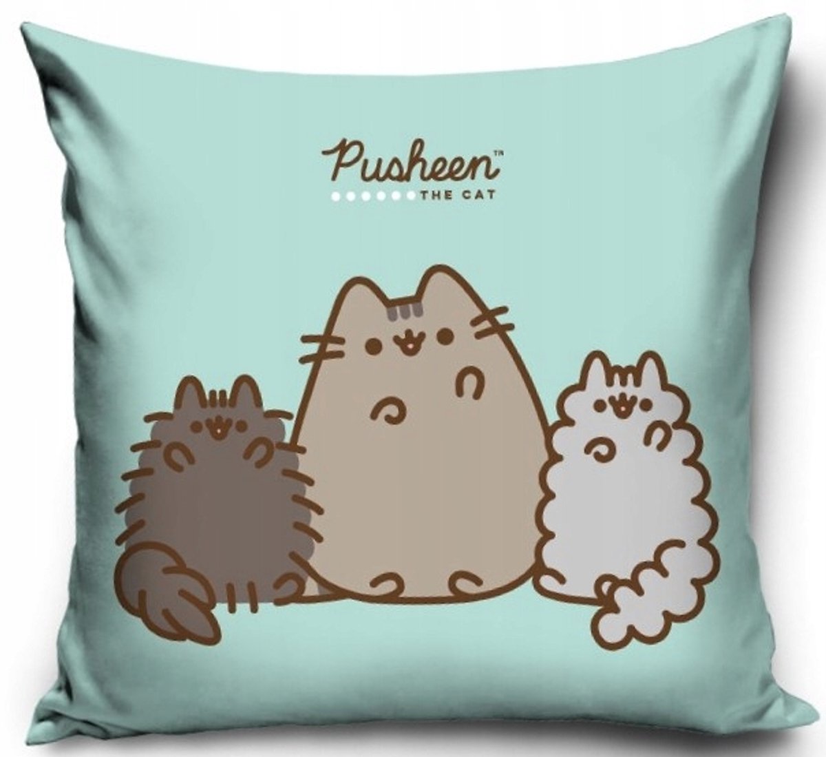 Pusheen Kussenhoes 40x40 cm Mint Velvet met Rits