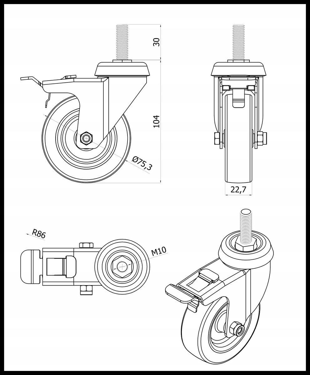 Zwenkwiel met rem, 75mm, M10x30mm, 40kg belastbaar