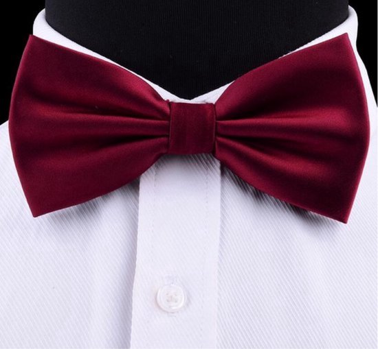 Feestdagen En Feestdagen. Een Vrolijke Vent in Bowtie En Bretels Brengen Cadeaudoos Mee Naar Een