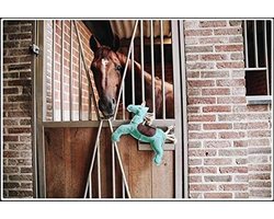 Paardenspeelgoed Eenhoorn voor in de Stal - Tegen Verveling