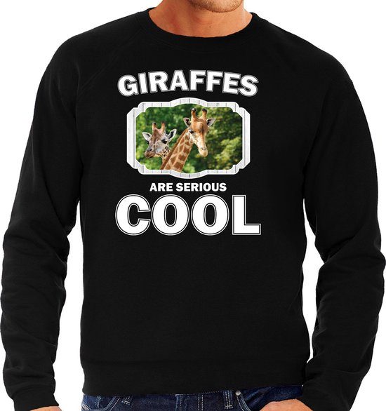 Dieren giraffen sweater zwart heren - giraffes are serious cool trui - cadeau sweater giraffe/ giraffen liefhebber L
