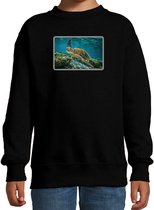 Dieren sweater met schildpadden foto - zwart - voor kinderen - natuur / zeeschildpad cadeau trui 122/128