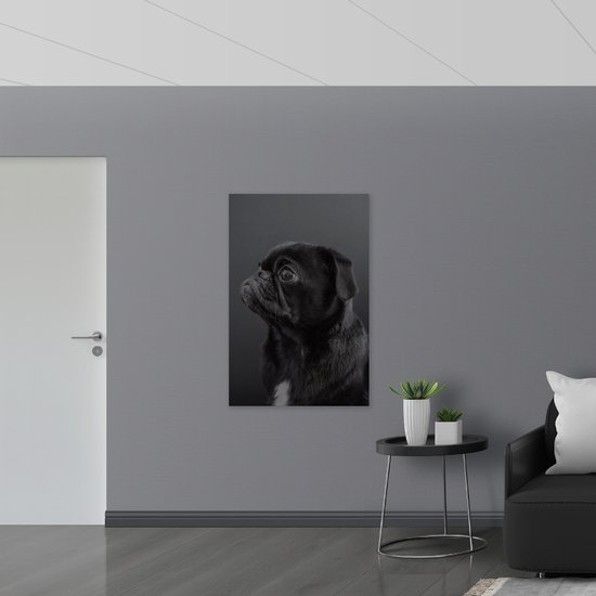 WallClassics - Dibond - Carlin Artistique / Carlin - 80x120 cm Photo sur Aluminium (Décoration murale en métal)