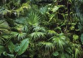 Fotobehang - Vlies Behang - Tropische Jungle Bladeren en Planten - 312 x 219 cm