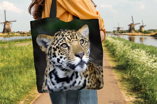 MuchoWow® Sac Bandoulière - Sac Plage - Shopper Léopard - Tête - Forêt - 40x40 cm - Sac Coton