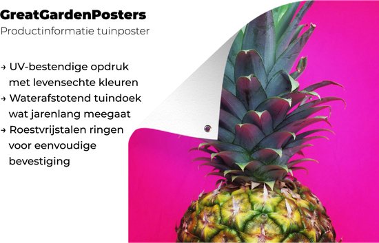 Gros plan d'un poster de jardin ananas coloré 100x100 cm - Toile de jardin / Toile d'extérieur / Peintures pour l'extérieur (décoration de jardin)