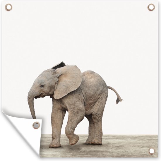 Tuinposters Baby olifant - Dieren - Olifant - Kinderen - Meiden - Jongens - 50x50 cm - Tuindoek - Buitenposter