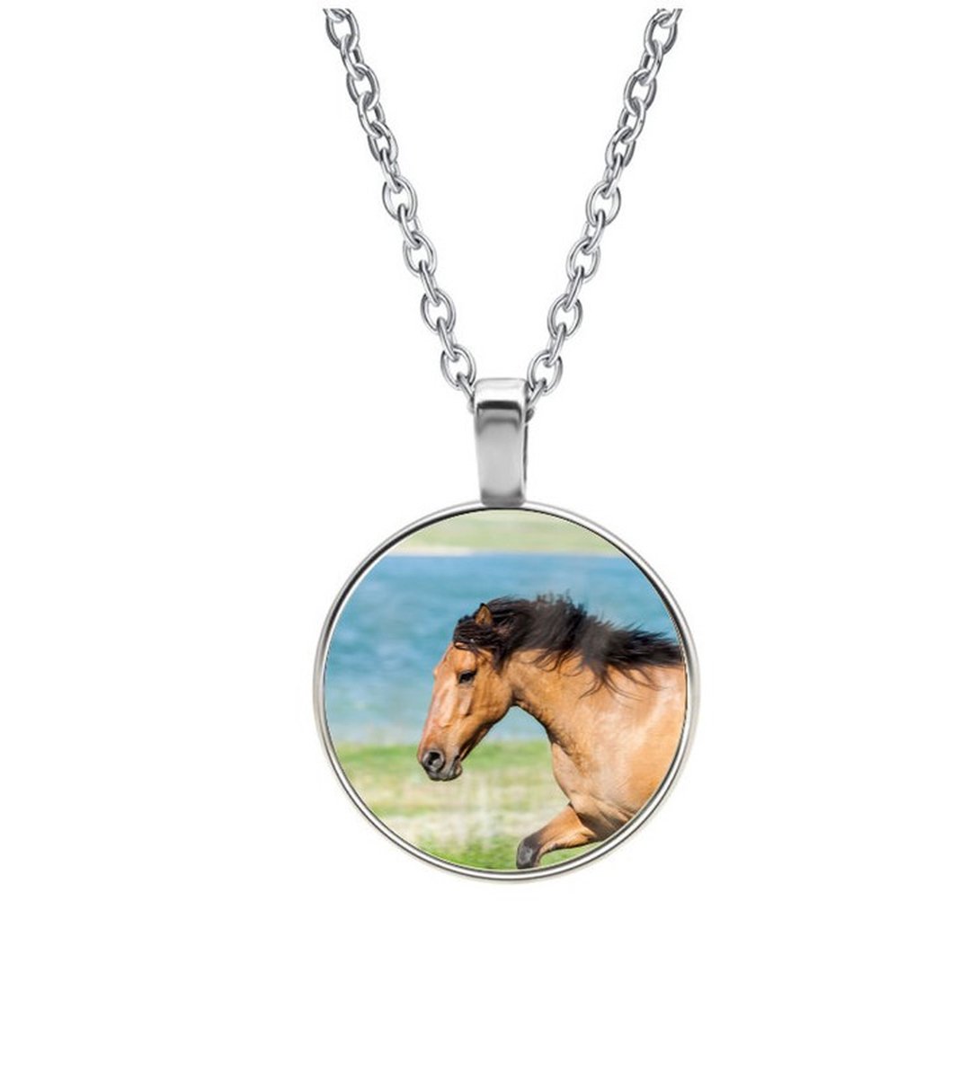 Ketting Glas - Paard