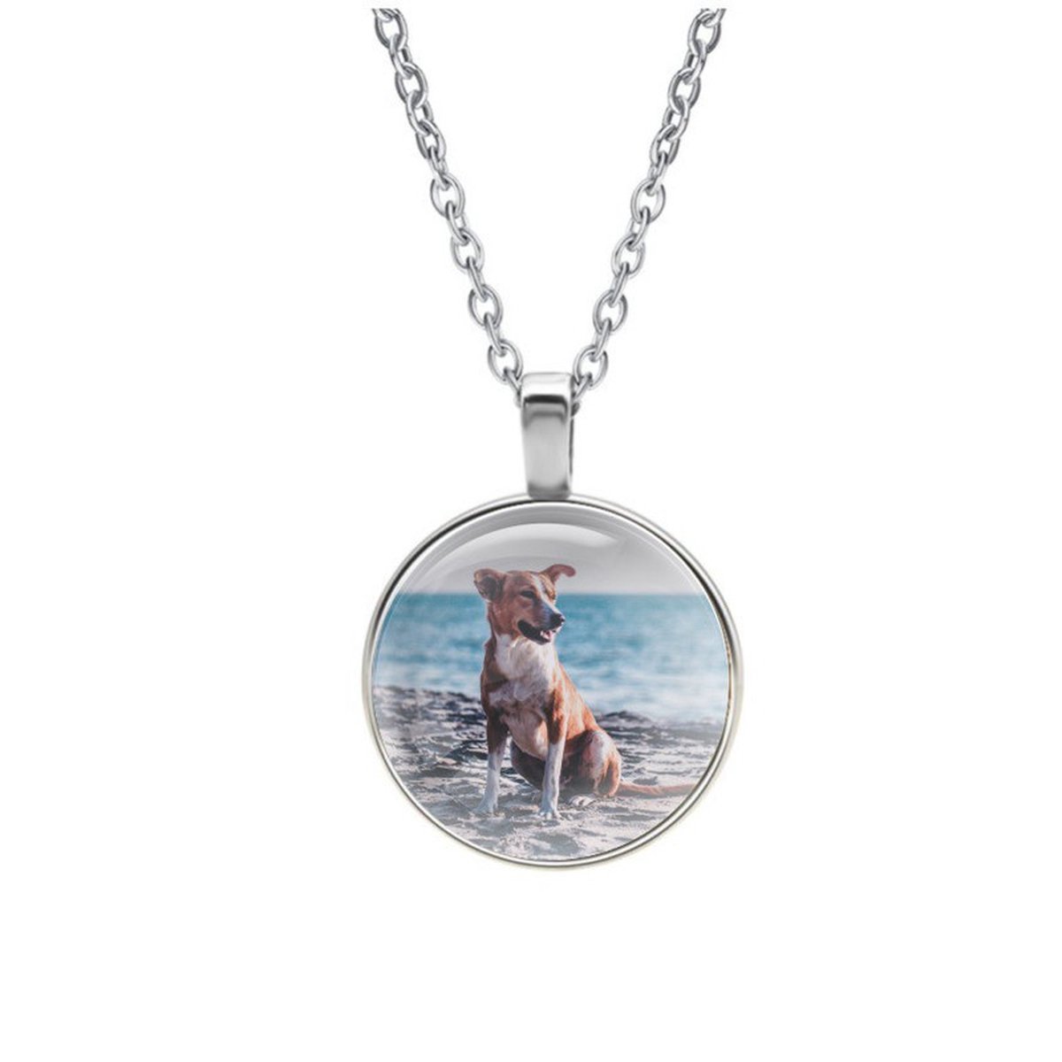 Ketting Glas - Hond
