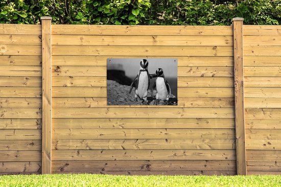 Posters de jardin extérieur Deux pingouins s'enlaçant sur un rocher - noir et blanc - 90x60 cm - Toile jardin - Affiche extérieur
