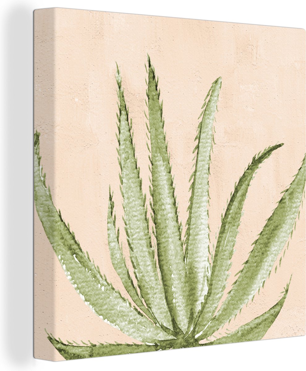 Canvas Schilderij Waterverf - Vetplant - Bohemian - Botanisch - 20x20 cm - Wanddecoratie