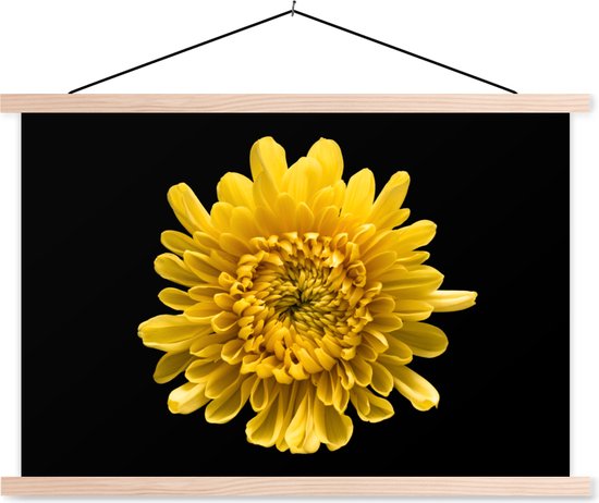 Posterhanger incl. Poster 90x60 cm - Schoolplaat - Een gele Chrysanthemum op een zwarte achtergrond - Textielposter - Blanke latten