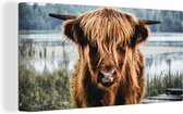 Toile - Highlander écossais - Animaux - Vache - Nature - Water - Décoration murale - Peintures sur toile - Peintures salon - 40x20 cm