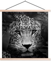Porte-affiche avec affiche - Affiche scolaire - Jungle - Panthère - Animaux sauvages - Zwart - Wit - 40x40 cm - Lattes vierges