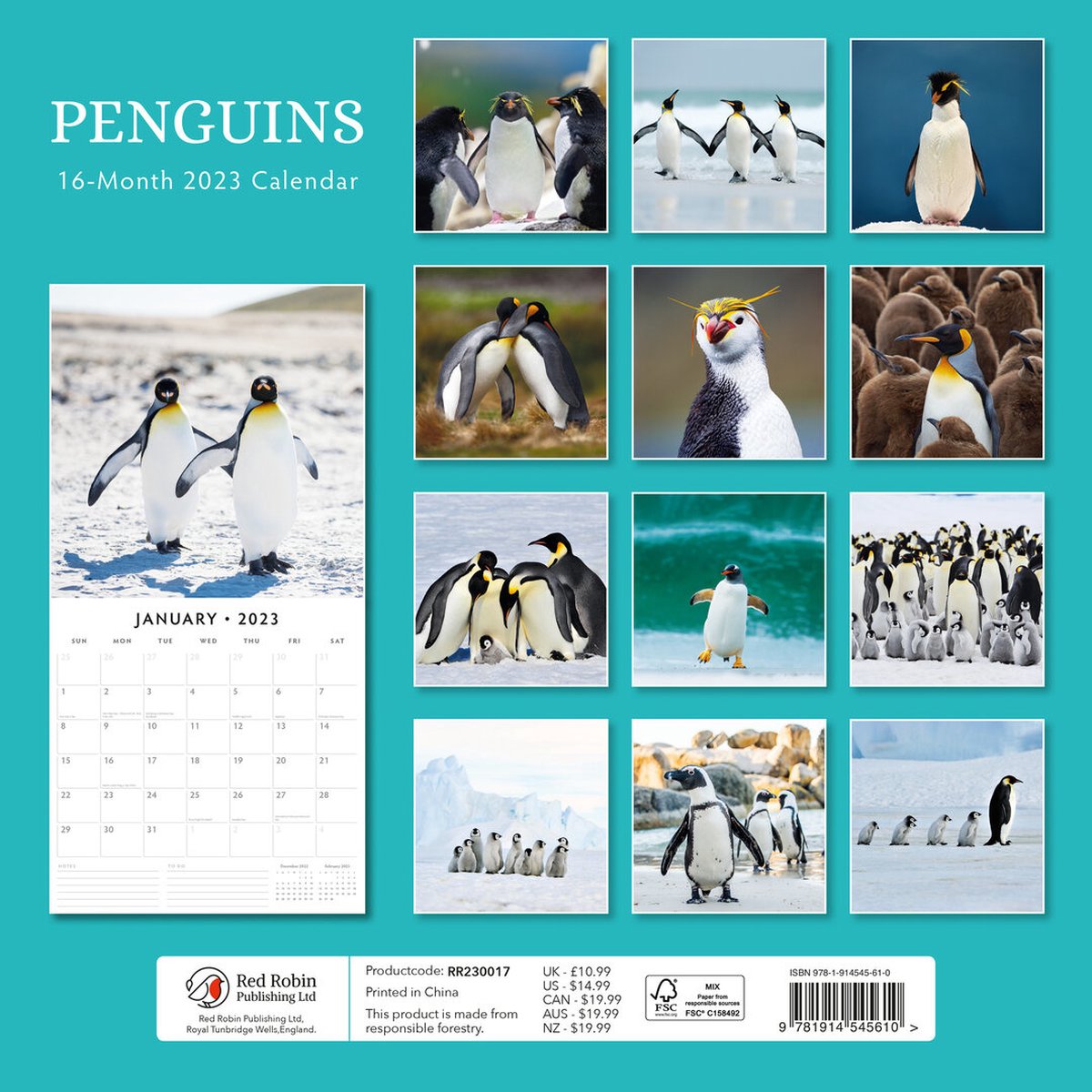Pinguin Kalender 2023  bol.com