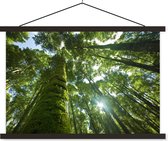 Posterhanger incl. Poster 60x40 cm - Schoolplaat - De gifgroene bomen in een regenwoud met doorbrekende zon - Textielposter - Zwarte latten