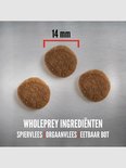 Drie brokjes hondenvoer van 14 mm op een grijze ondergrond.