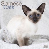Siamese Cats Kalender 2023