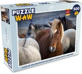 Puzzel Close-up van een bruine IJslander tussen witte paarden - Legpuzzel - Puzzel 500 stukjes