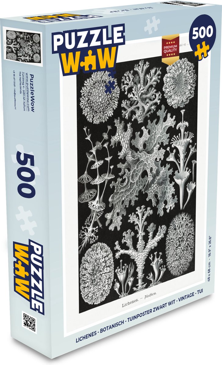 Puzzel Kunst - Koraal - Ernst Haeckel - Oude meesters - Natuur - Legpuzzel - Puzzel 500 stukjes