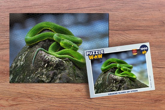 Puzzle Serpent vert sur pierre - Puzzle - Puzzle 1000 pièces adultes - Sinterklaas cadeaux - Sinterklaas pour grands enfants