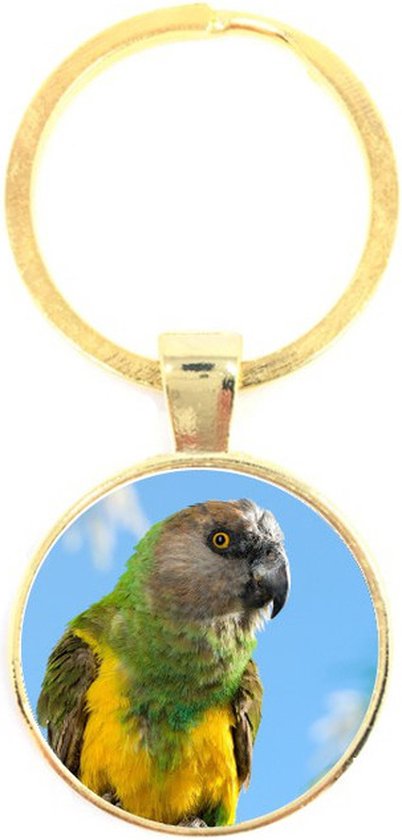 Porte-clés en verre - Perroquet