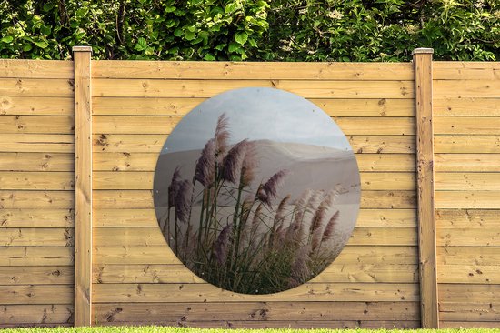 Garden Circle Pampas Grass - Sable - Plantes - Dune - 150x150 - Affiche de jardin ronde - Extérieur