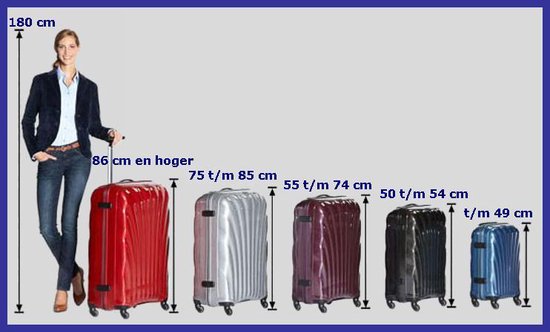 Royalty Rolls handbagage koffer set. 2 delig, 4 wiel, ABS 50 & 55cm hoog  zilver | bol.com