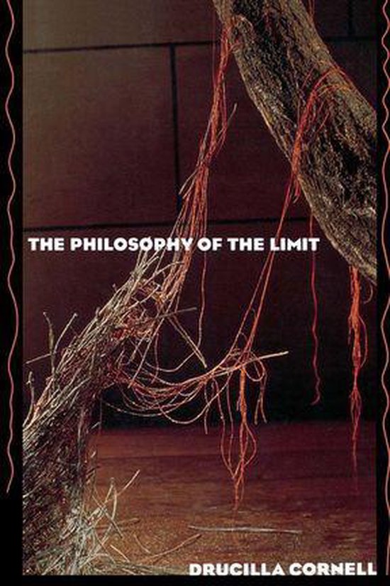 The Philosophy of the Limit - cover