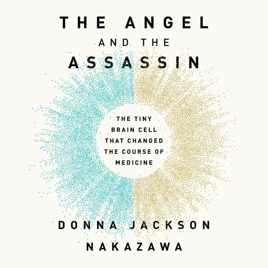 The Angel and the Assassin - cover