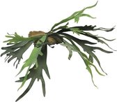 Kunstbloemen En Overige - Platycerium Green 50cm
