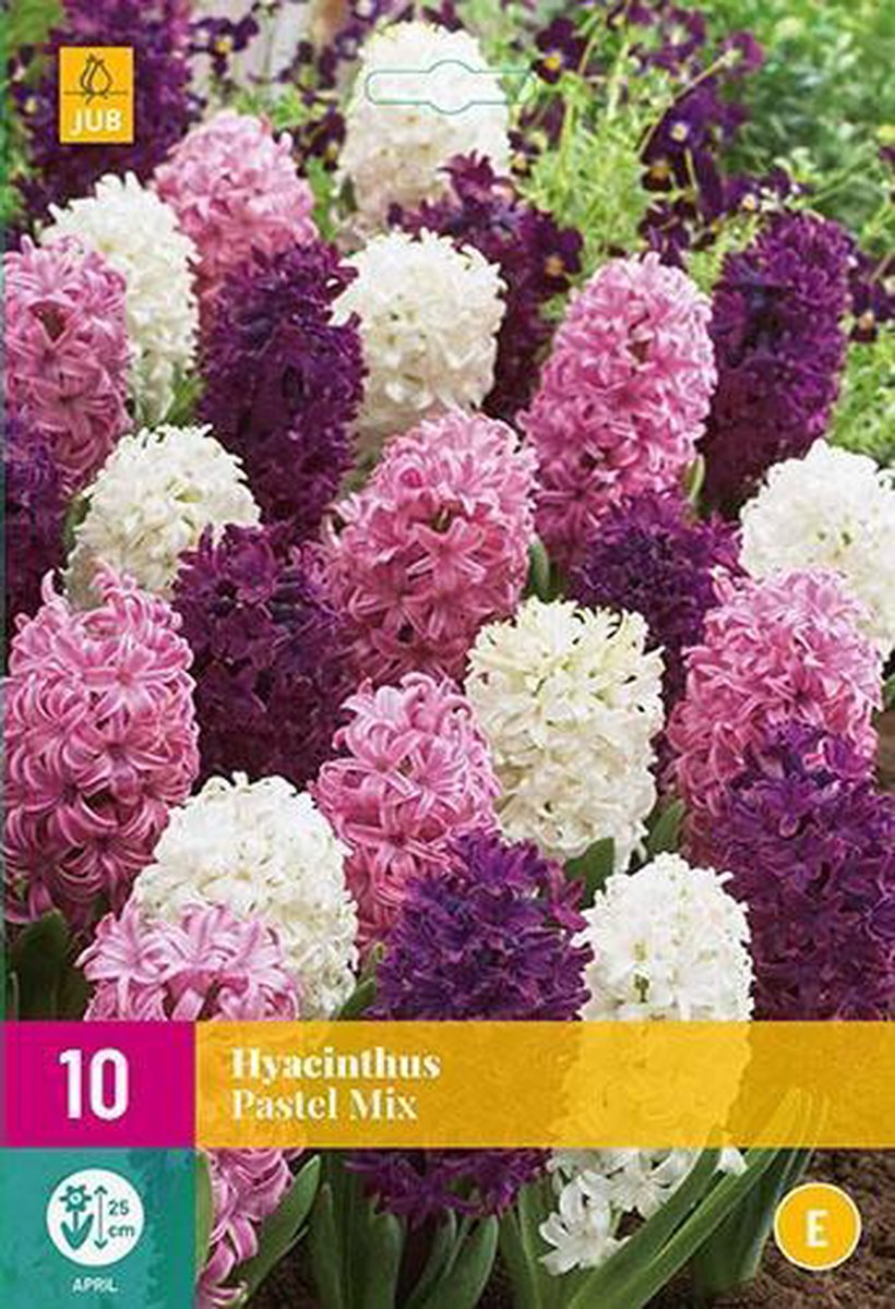 Jub Holland - bloembollen - Hyacint Pastel Mix - maat 14/15 - 10 stuks