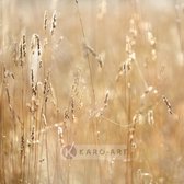 Schilderij - Mist in het veld , Beige geel , 3 maten , Premium print