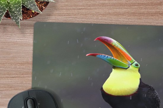 Close-up van een toekan met een felgekleurde snavel en gele borst, met de snavel open in de regen.