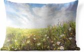 Buitenkussens - Tuin - Geschilderd zomers landschap - 60x40 cm