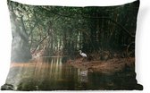 Buitenkussens - Tuin - Reiger in mangrovebos - 50x30 cm