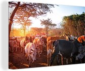 Vaches au parc national du Masai Mara au Kenya Toile 30x20 cm - petit - Tirage photo sur toile (Décoration murale salon / chambre)