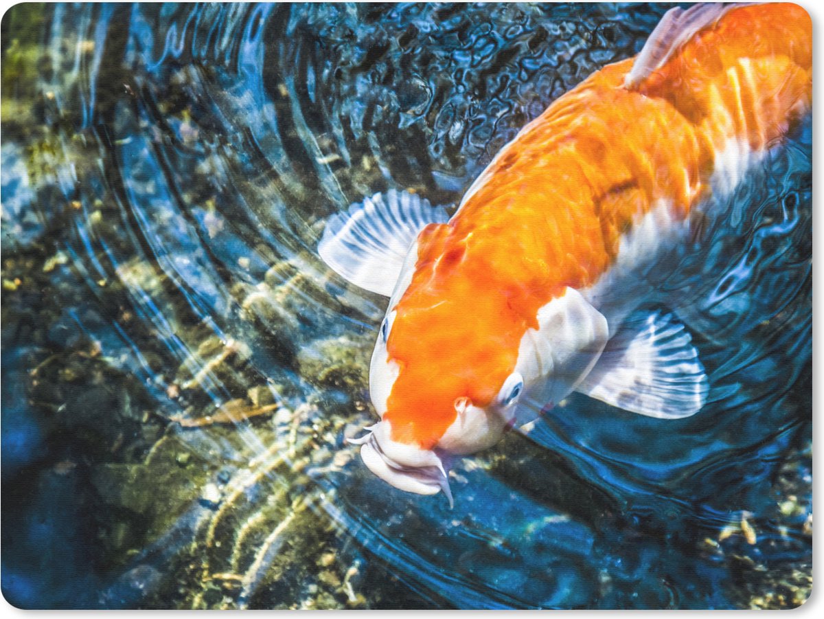Muismat 23x19 cm - Mousepad Een koi karper die naar het wateroppervlak komt - Muismatten