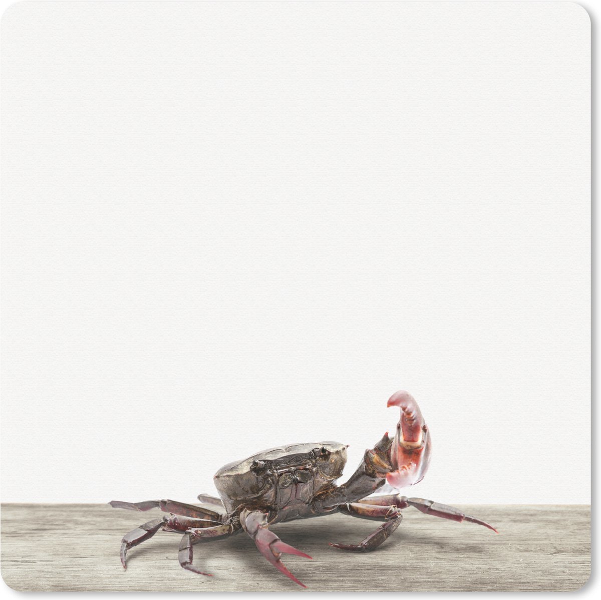 Muismat Animalprintshop - Krab dierenprint muismat rubber - 20x20 cm - Muismat met foto