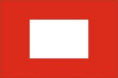 Sleepvlag 70x100cm Finishvlag rood